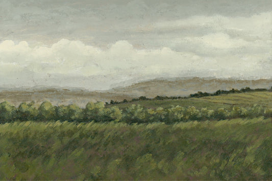 Meadows