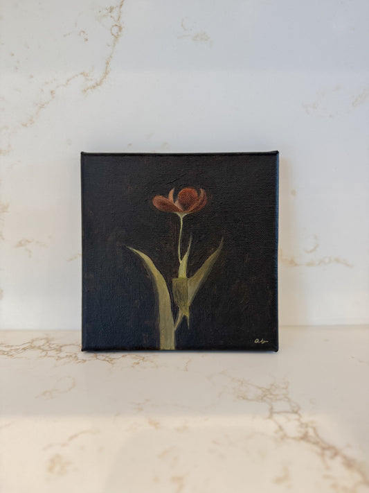 Bloom